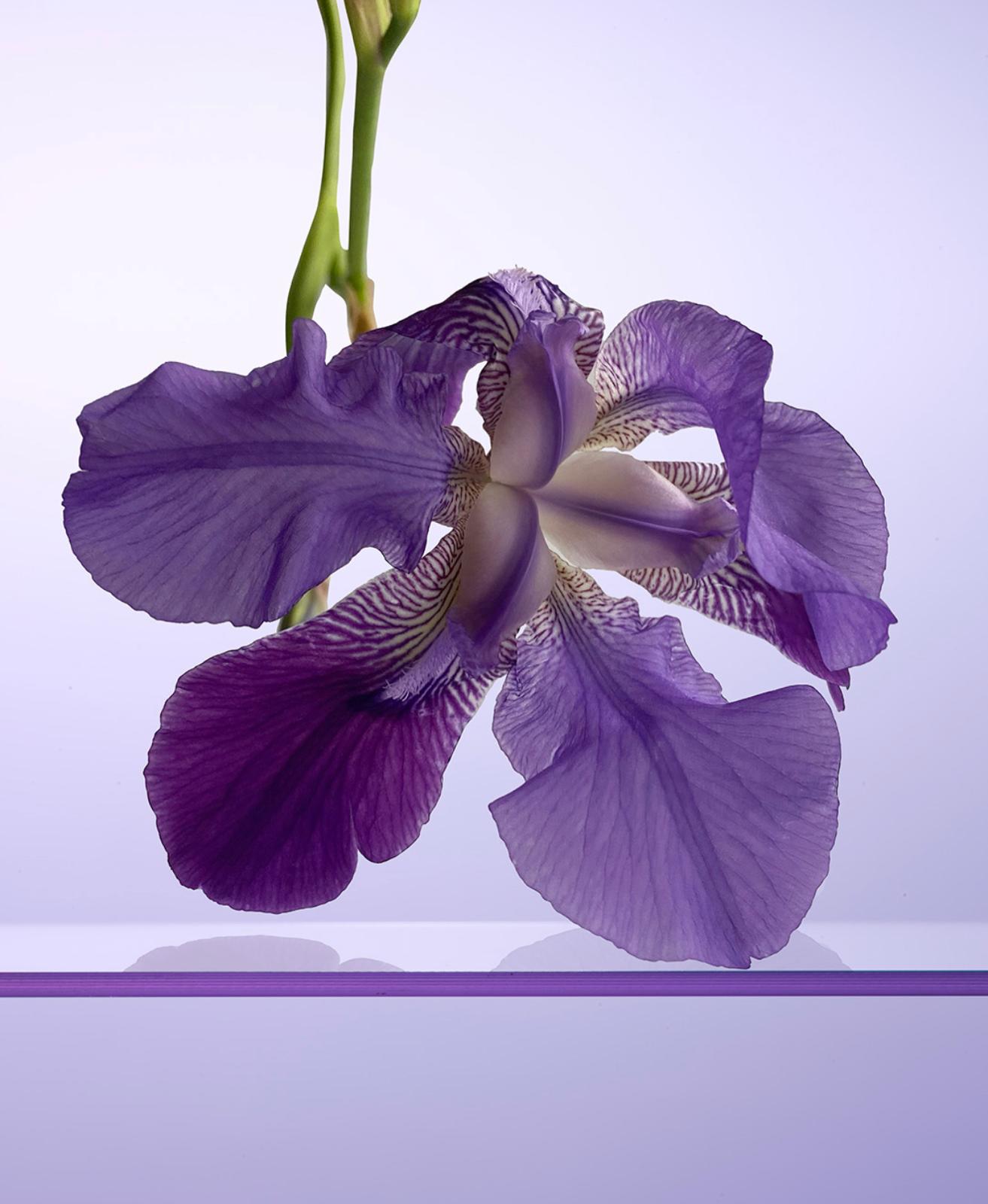 Blooming Glow Facial —